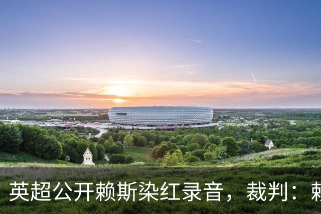 英超公开赖斯染红录音，裁判：赖斯你让我很难做